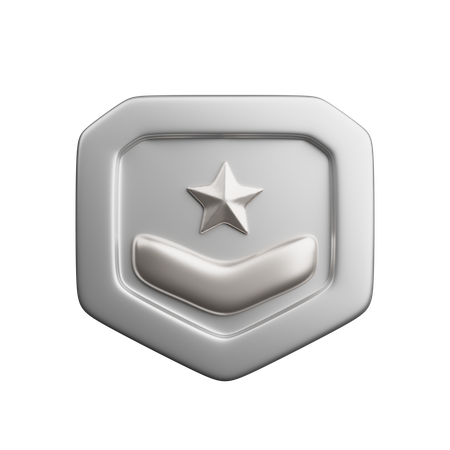 Rang argent  3D Icon