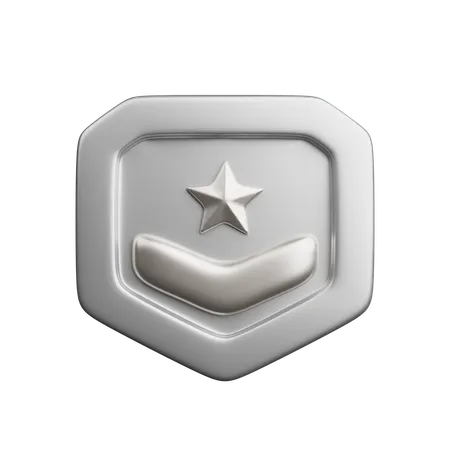 Rang argent  3D Icon