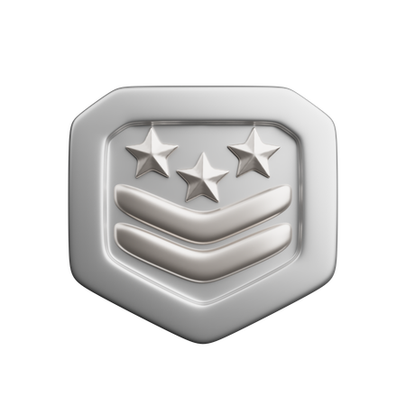 Rang argent  3D Icon