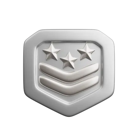 Rang argent  3D Icon