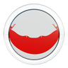 rapa nui chile flag 3d logo