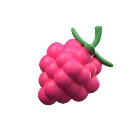 Raspberries  3D Icon