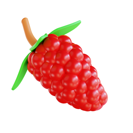 Raspberry  3D Icon