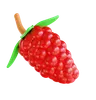 Raspberry