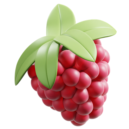 Raspberry  3D Icon