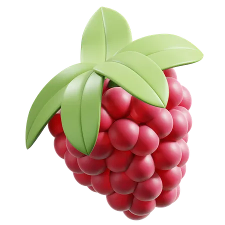 Raspberry  3D Icon