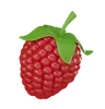 Raspberry