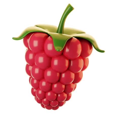 Raspberry  3D Icon