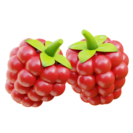 Raspberry  3D Icon