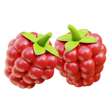 Raspberry  3D Icon