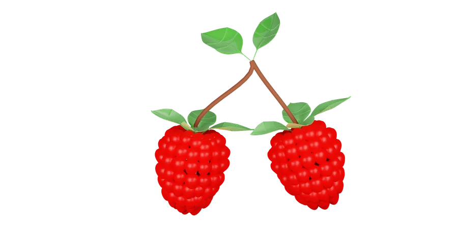 Raspberry  3D Icon