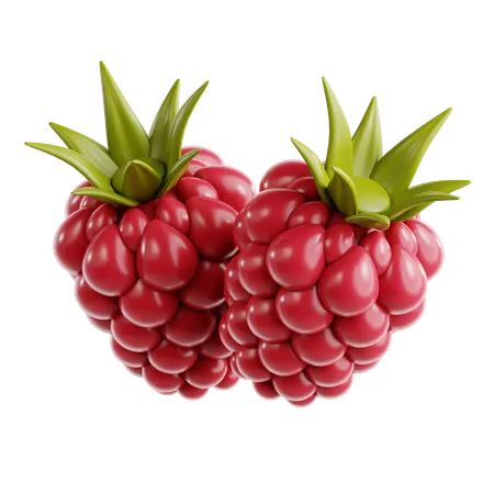 Raspberry  3D Icon