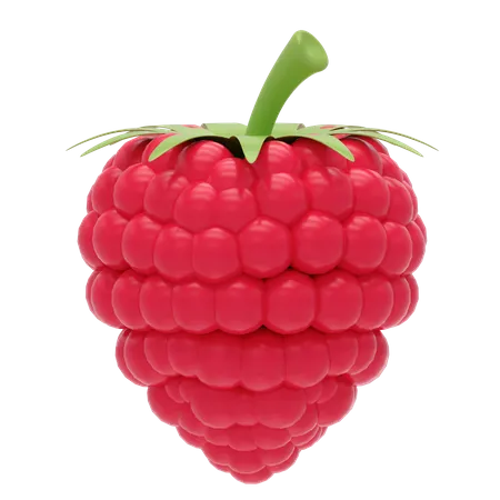 Raspberry  3D Icon