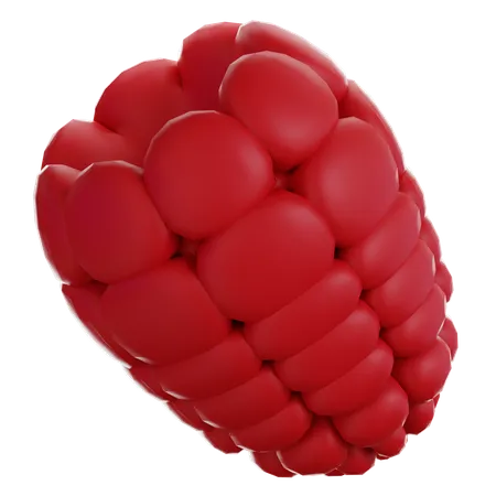 Raspberry  3D Icon