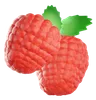 Raspberry