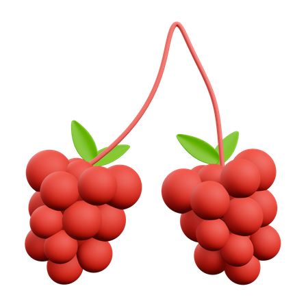 Raspberry  3D Illustration