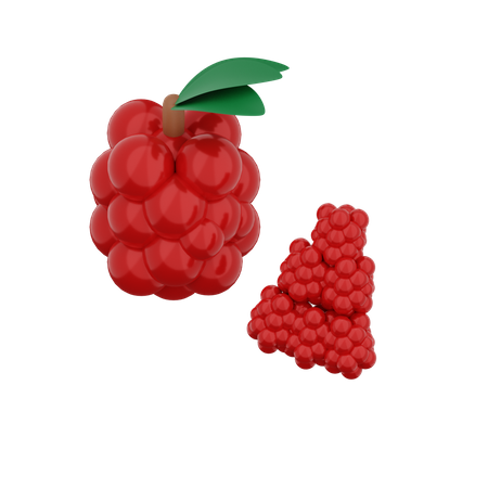 Raspberry  3D Illustration