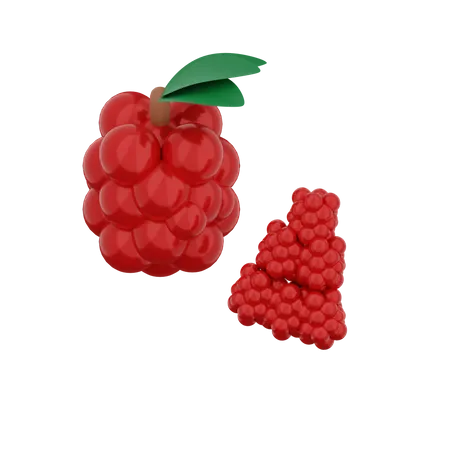 Raspberry  3D Illustration