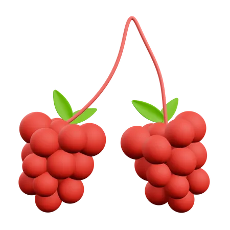 Raspberry  3D Illustration