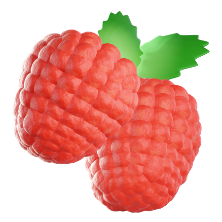 Raspberry 3D Illustration