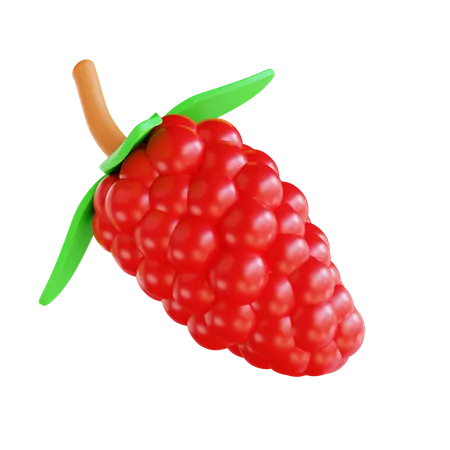 3 D Illustration Raspberry 3D Icon