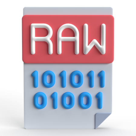 Raw Data  3D Icon