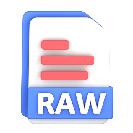 Raw File  3D Icon