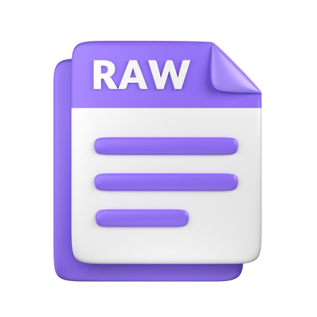 RAW File  3D Icon