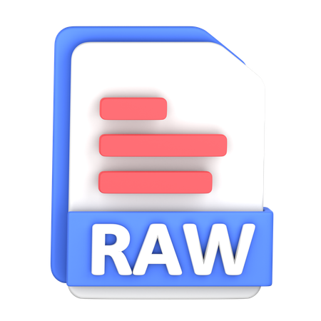 Raw File  3D Icon