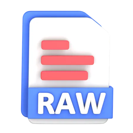 Raw File  3D Icon