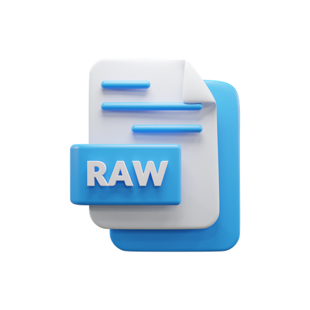 Raw File  3D Icon