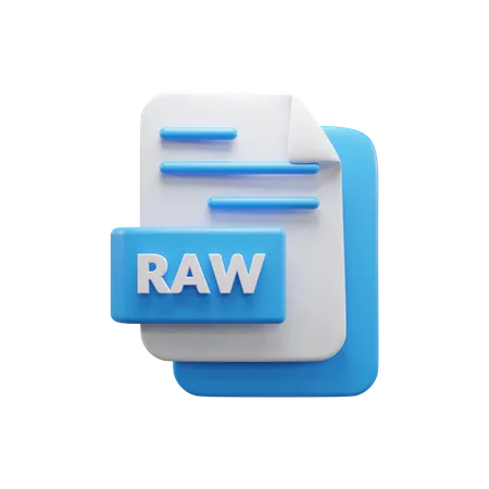 Raw File  3D Icon