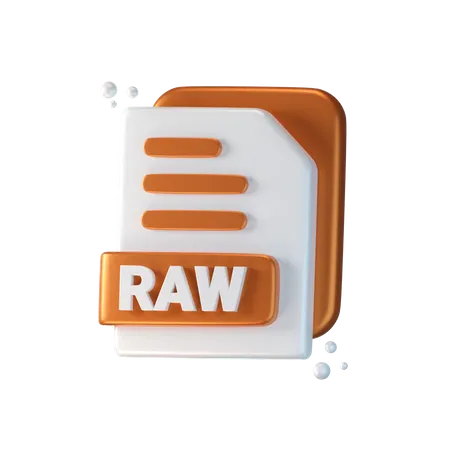 Raw File  3D Icon