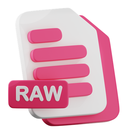 RAW File  3D Icon