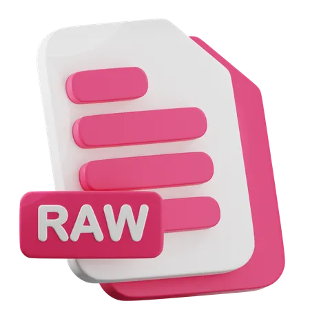 RAW File  3D Icon