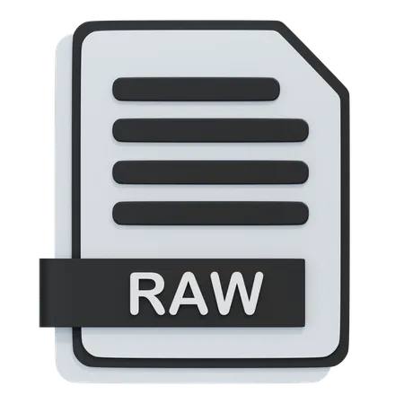 RAW File  3D Icon