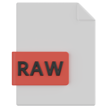 Raw File  3D Icon