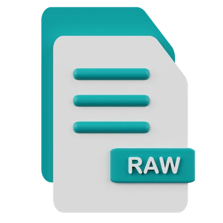 Raw File  3D Icon