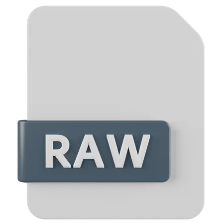 RAW File  3D Icon