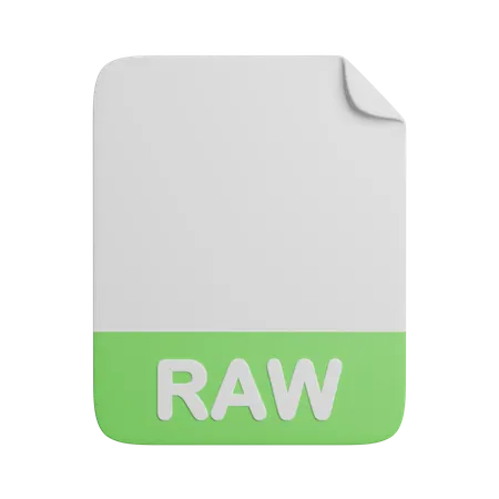 Raw File  3D Icon