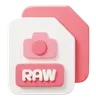 RAW File