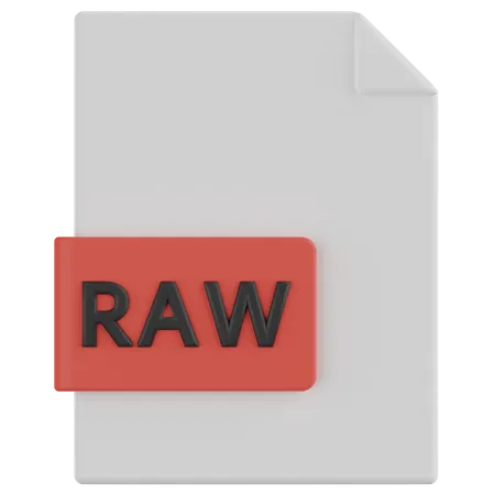 Raw File  3D Icon