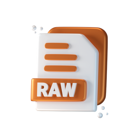 Raw File 3D Icon