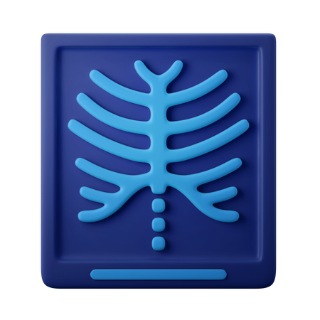 Rayon X  3D Icon