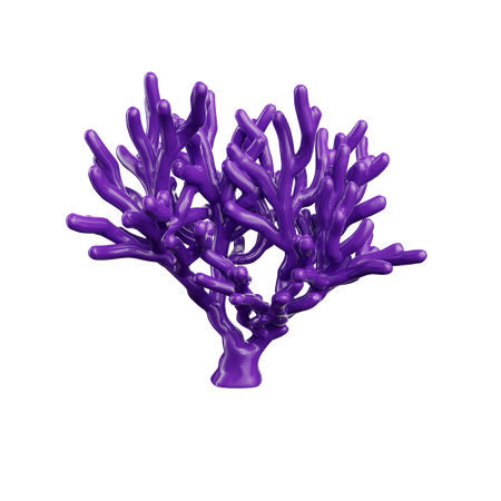 Récif de corail violet coquillage jccmedia  3D Icon