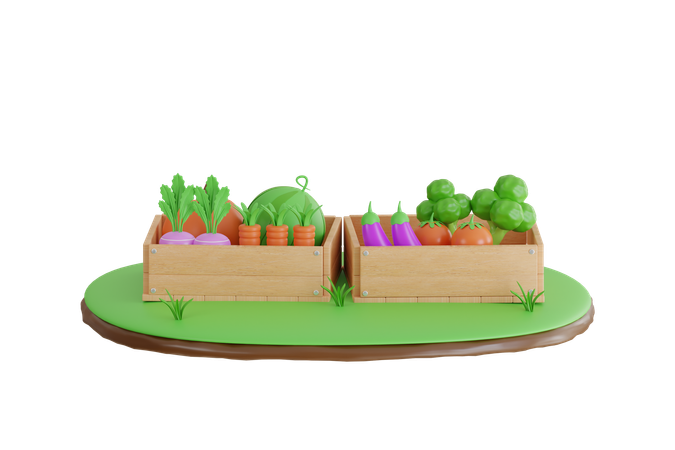 Récolter les légumes en boîte  3D Illustration