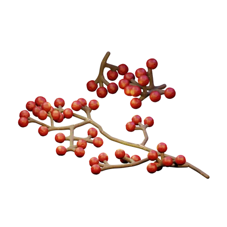 Red Berries  3D Icon