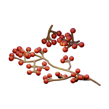 Red Berries  3D Icon