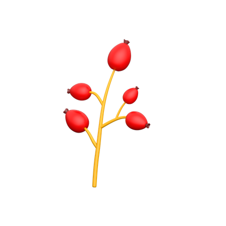 Red Berries  3D Icon