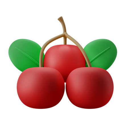 Red Berries  3D Icon